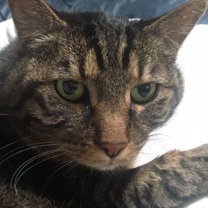 Meet your Posher, Kristen